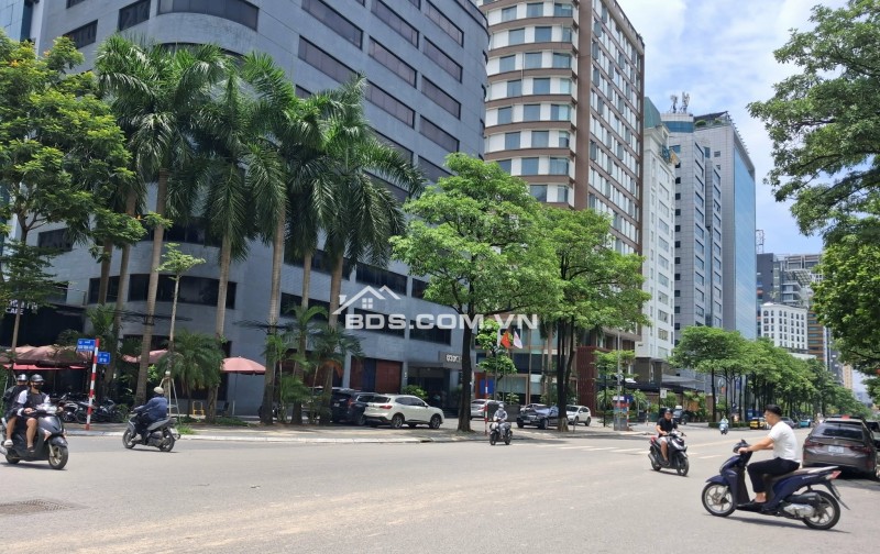 SIÊU PHẨM BIỆT THỰ D5 TRẦN THÁI TÔNG LÔ GÓC 2 MẶT ĐƯỜNG DT 238 M2 GIÁ RẺ